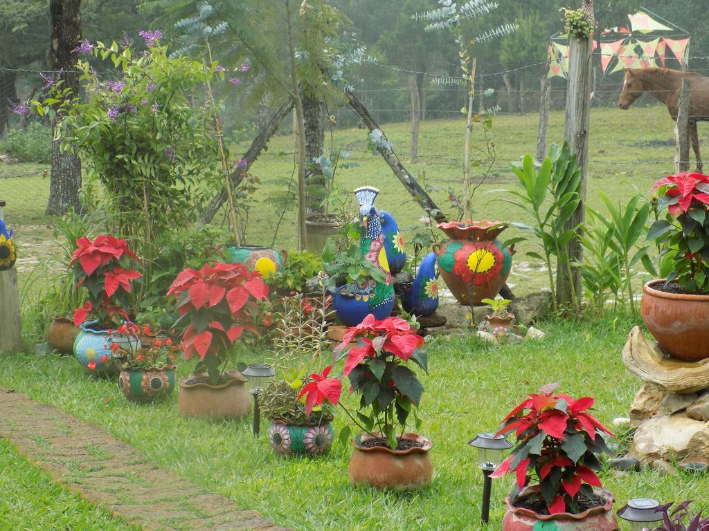 Rancho Hostal La Escondida Eco Park Teopisca Exterior foto