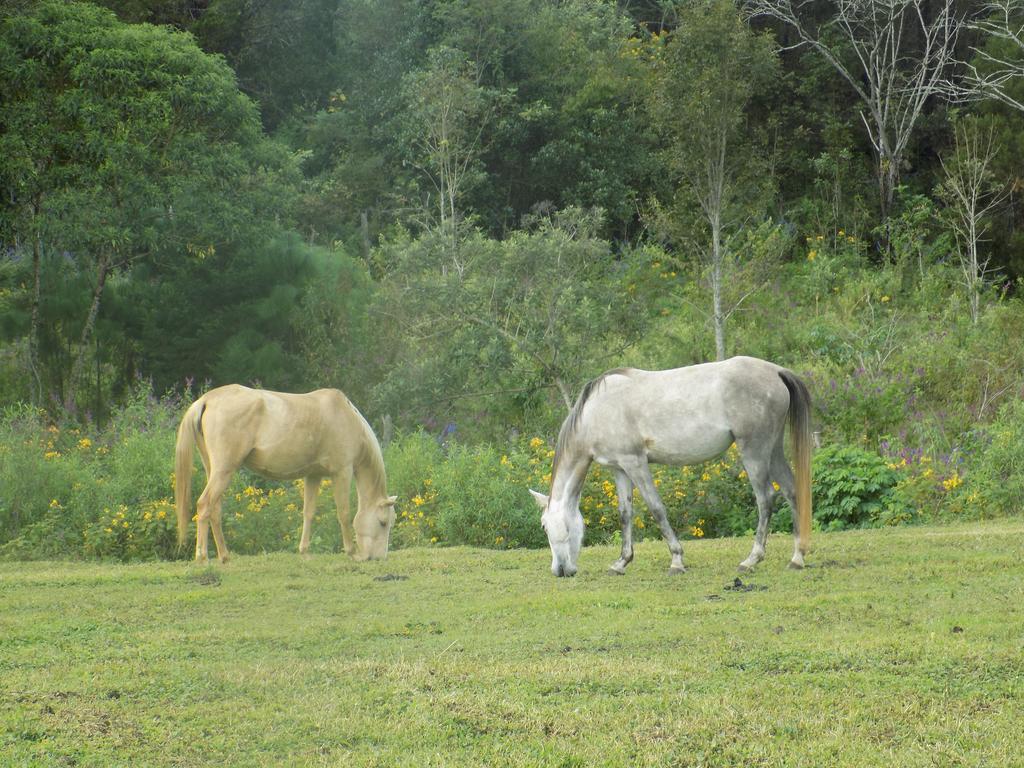 Rancho Hostal La Escondida Eco Park Teopisca Exterior foto